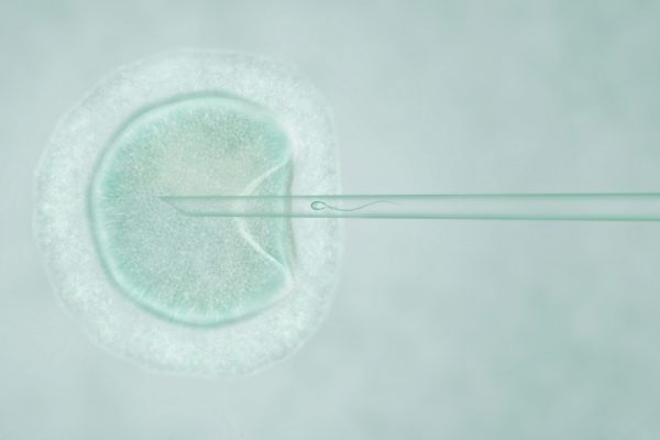 How Are Embryos Placed in IVF Treatment?