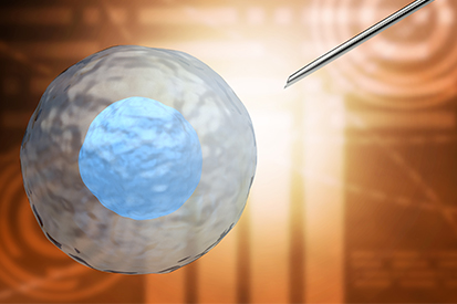 Why Does IVF Fail with Good Embryos